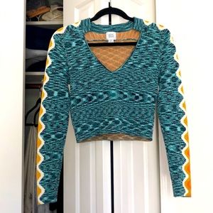 Urban Outfitter Fitted Sweater